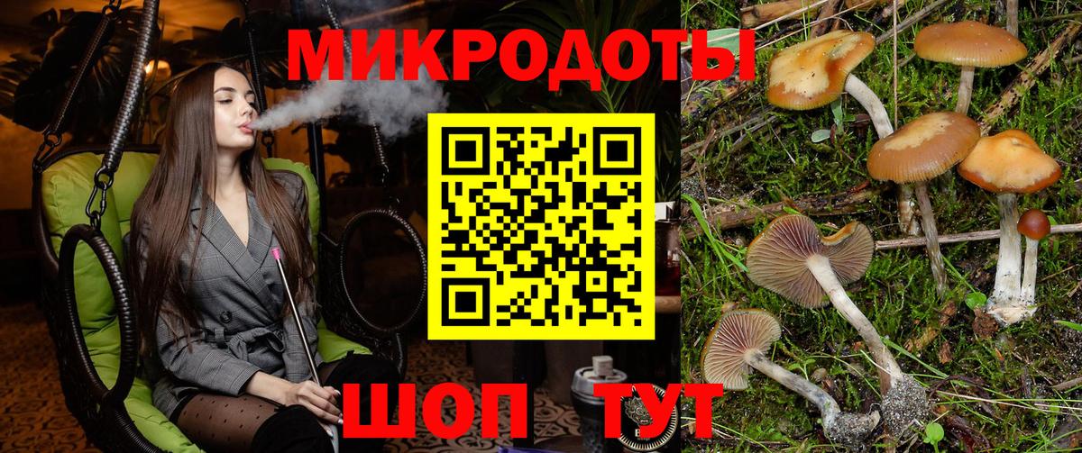 Нефтекамск  Псилоцибиновые грибы Psilocybine cubensis  Вход с VPN  Галлюциногенные грибы GOLDEN TEACHER 
